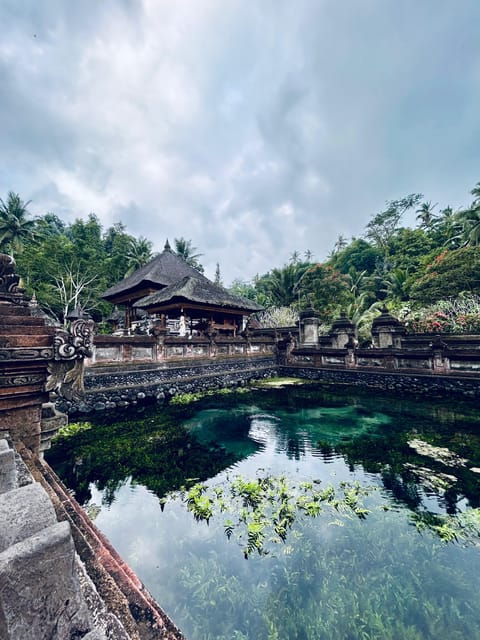 ubud-monkey-forest-holy-water-temple-and-hot-springs-tour