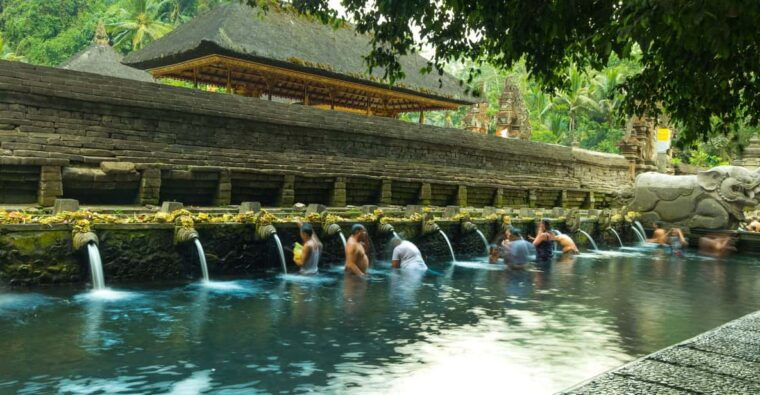 ubud-monkey-forest-holy-water-temple-and-hot-springs-tour