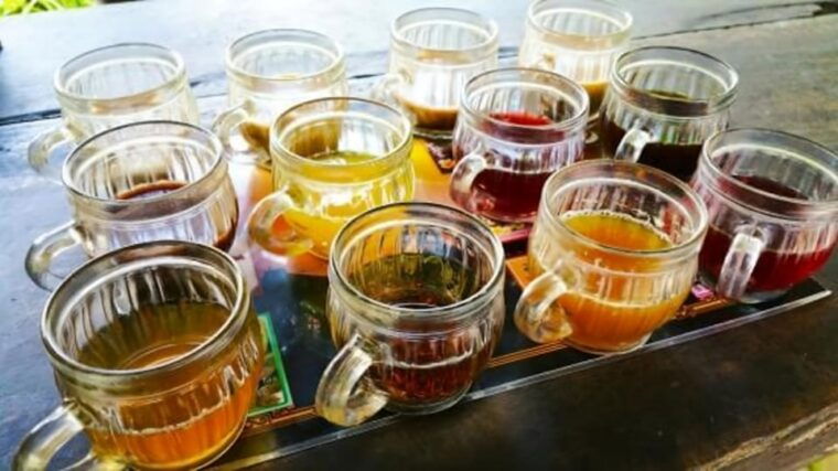 ubud-monkey-forest-rice-terrace-and-jungle-swing-tour