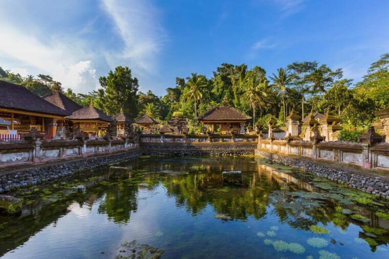 ubud-monkey-forest-rice-terrace-and-jungle-swing-tour