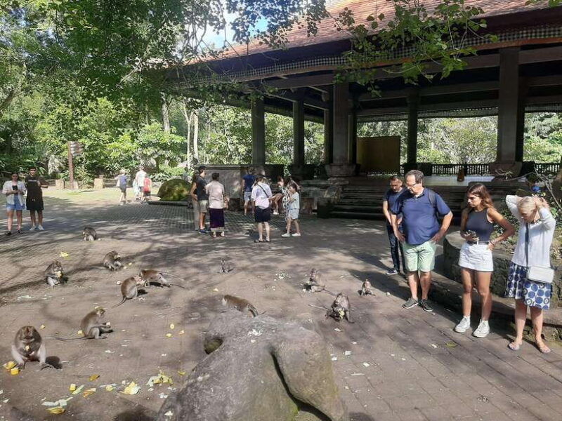 ubud-monkey-forest-rice-terrace-and-waterfall