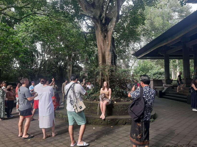 ubud-monkey-forest-rice-terrace-and-waterfall