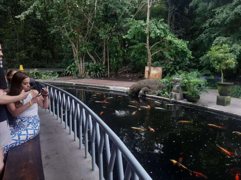 ubud-monkey-forest-rice-terrace-and-waterfall