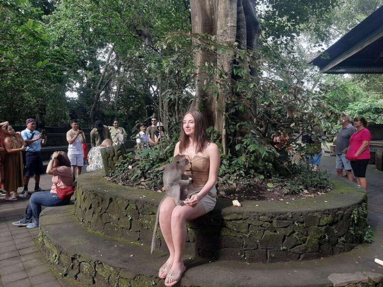 ubud-monkey-forest-rice-terrace-and-waterfall