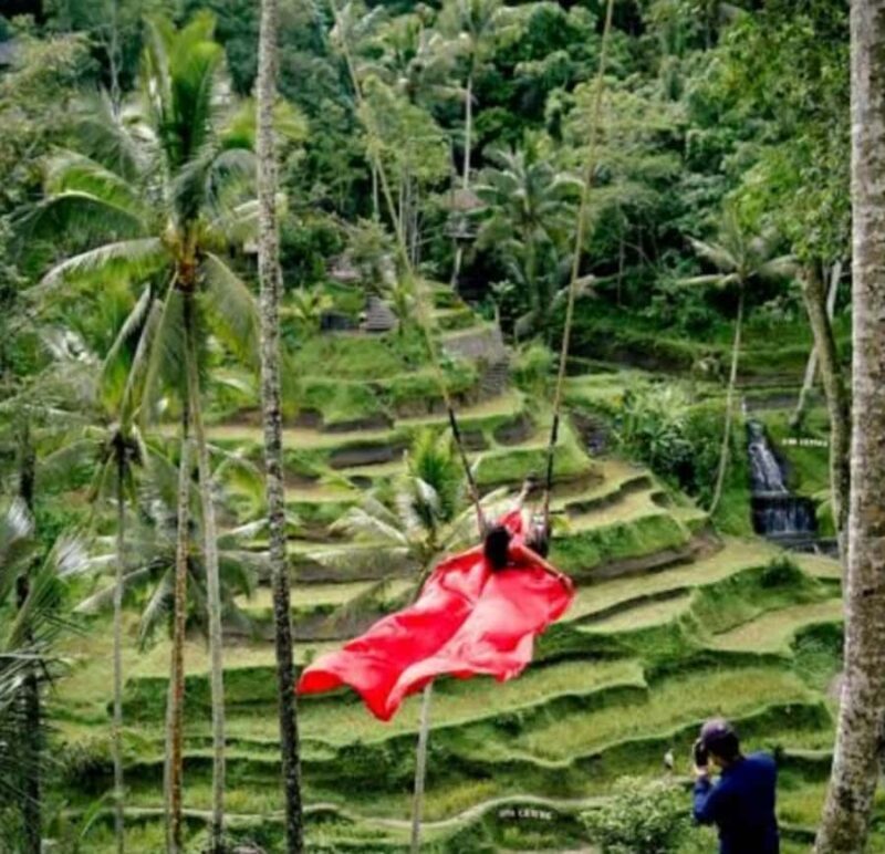 Ubud: Monkey Forest, Rice Terrace ticket included - What to Expect and Practical Tips