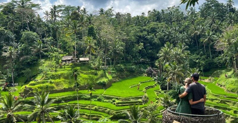 ubud-monkey-forest-rice-terrace-water-temple-private-tour