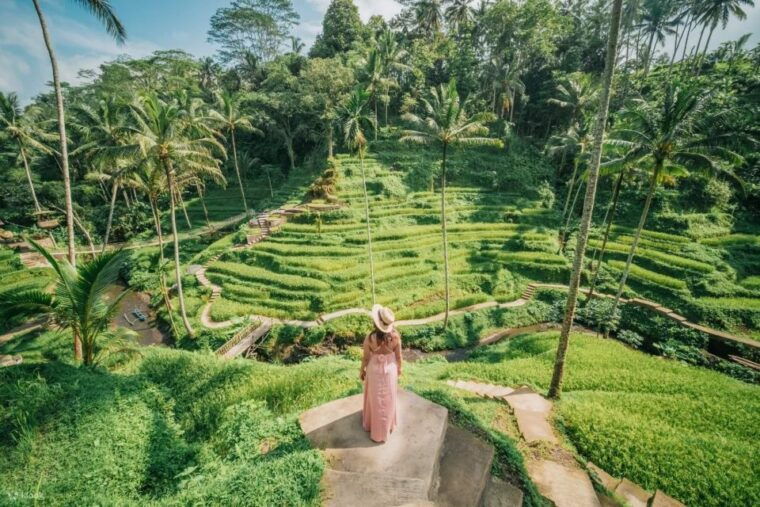 ubud-monkey-forest-rice-terrace-water-temple-private-tour