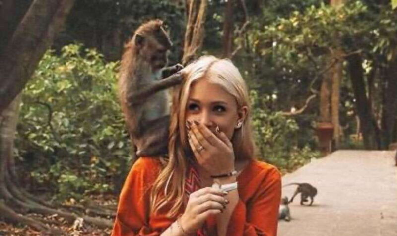 ubud-monkey-forest-rice-terrace-waterfall-holy-temple