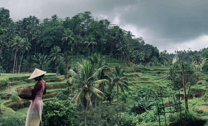 ubud-monkey-forest-rice-terrace-waterfall-holy-temple