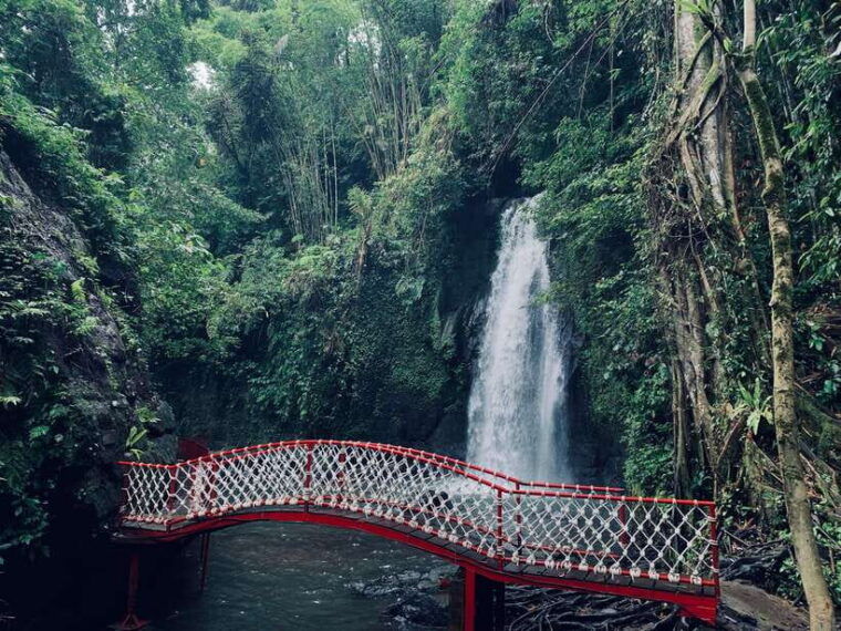 ubud-monkey-forest-rice-terrace-waterfall-holy-temple