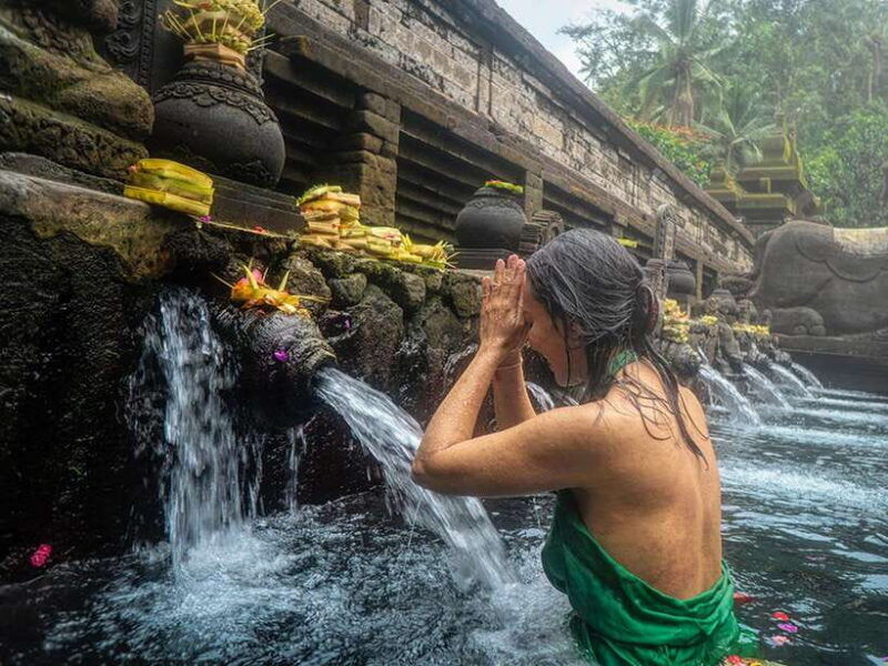 ubud-monkey-forest-rice-terrace-waterfall-private-tour