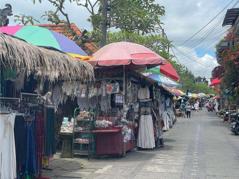 ubud-monkey-forest-rice-terrace-waterfall-private-tour