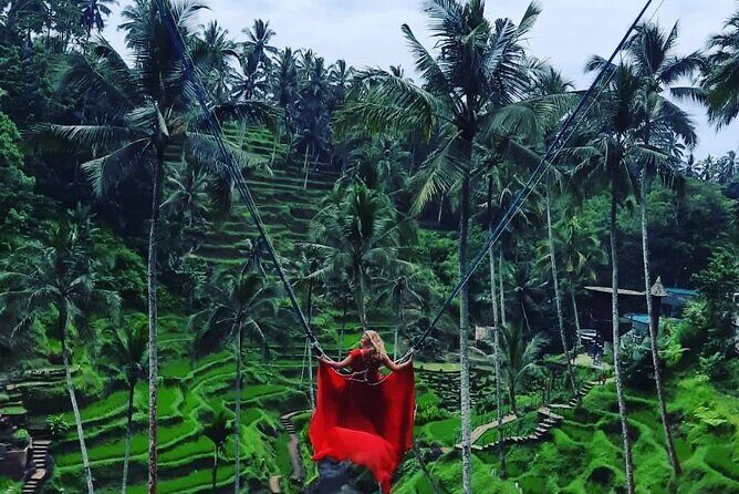 Ubud : Monkey Forest, Rice Terrace, Waterfall, Swing - Detailed Breakdown of the Ubud Tour
