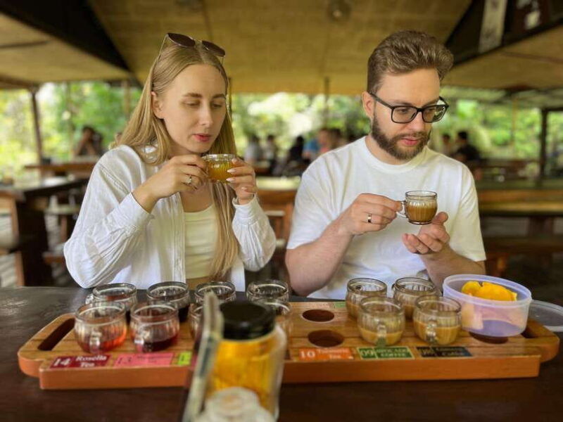 ubud-monkey-forest-rice-terrace-waterfall-water-temple