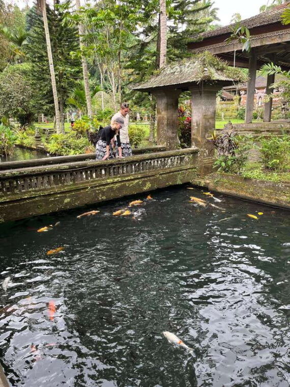 ubud-monkey-forest-rice-terrace-waterfall-water-temple