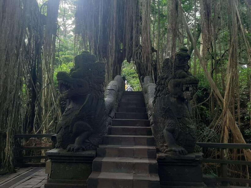 ubud-monkey-forest-rice-terraces-and-waterfall-2