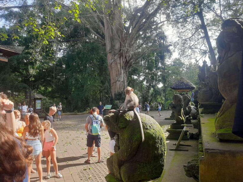 ubud-monkey-forest-rice-terraces-and-waterfall-2