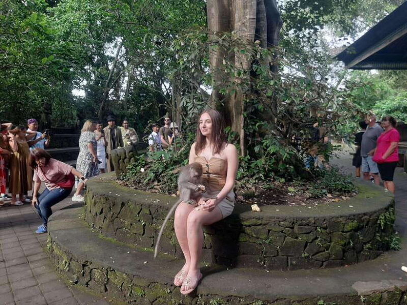 ubud-monkey-forest-rice-terraces-and-waterfall-2