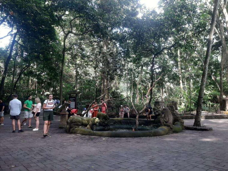 ubud-monkey-forest-rice-terraces-and-waterfall-2