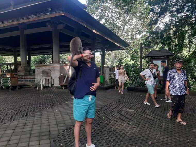 ubud-monkey-forest-rice-terraces-and-waterfall-2