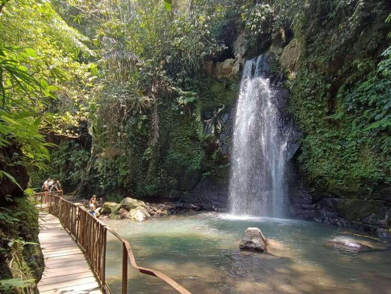 ubud-monkey-forest-rice-terraces-and-waterfall-tour