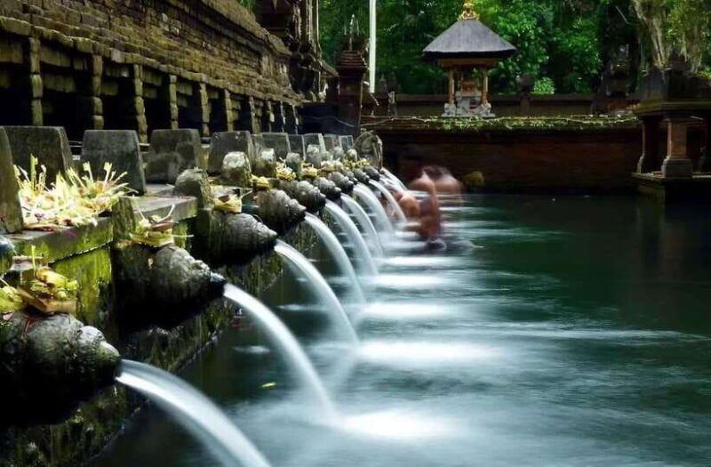 ubud-monkey-forest-rice-terraces-and-waterfall-tour