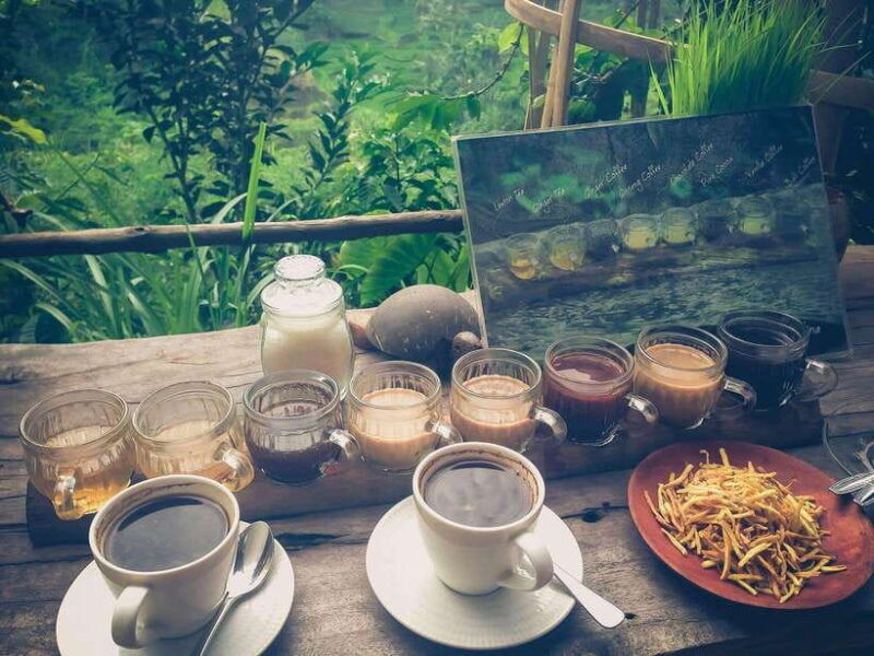 ubud-monkey-forest-rice-terraces-and-waterfall-tour