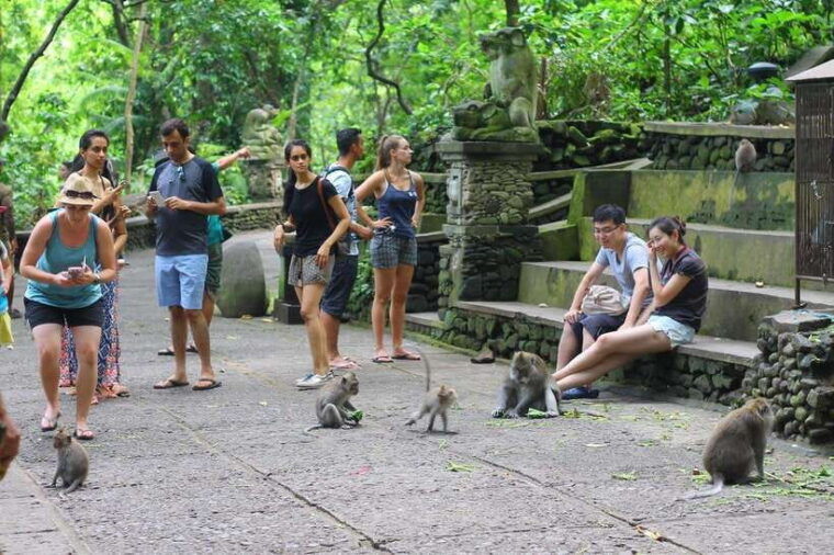 ubud-monkey-forest-rice-terraces-and-waterfall-tour