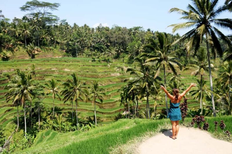Ubud: Monkey Forest, Rice Terraces & Art Craft Village Tour - Exploring Bali’s Artistic Heart
