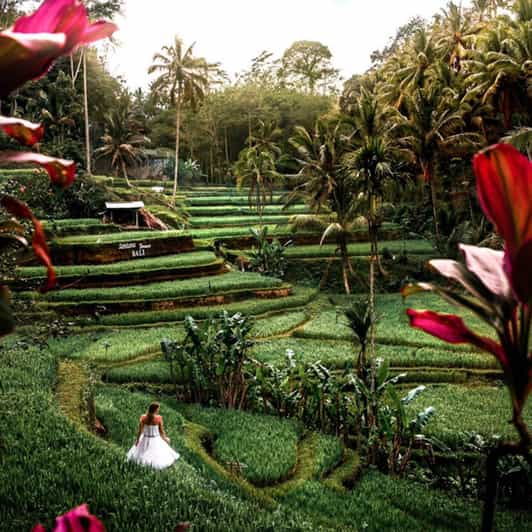 ubud-monkey-forest-rice-terraces-temple-hidden-waterfal