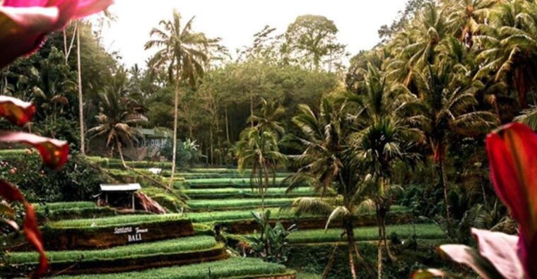 ubud-monkey-forest-rice-terraces-temple-hidden-waterfal