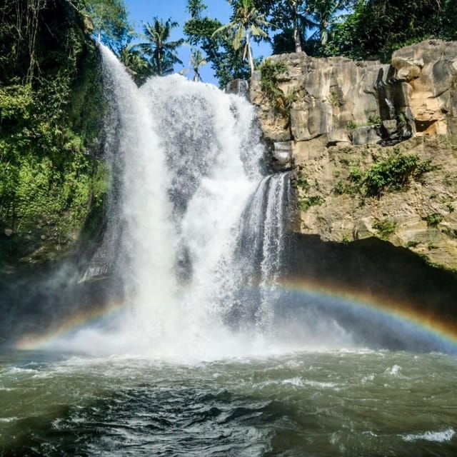 ubud-monkey-forest-rice-terraces-temple-hidden-waterfal