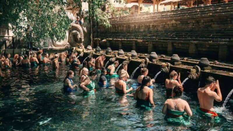 ubud-monkey-forest-rice-terraces-templepetanu-waterfall