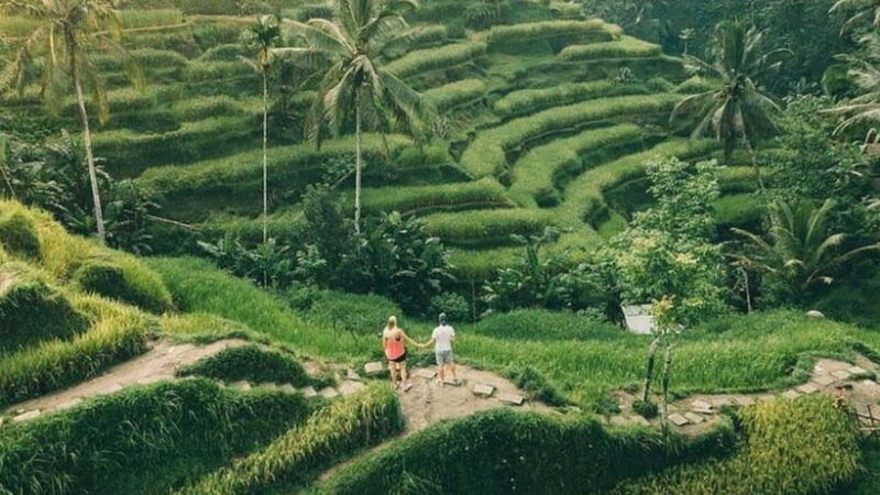 ubud-monkey-forest-rice-terraces-templepetanu-waterfall