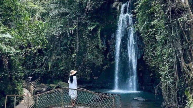 ubud-monkey-forest-rice-terraces-templepetanu-waterfall