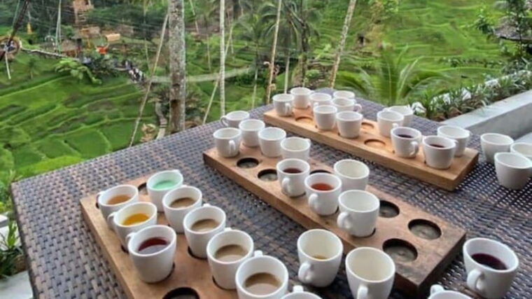 ubud-monkey-forest-rice-terraces-templepetanu-waterfall