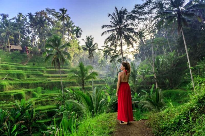 Ubud: Monkey Forest Sanctuary & Jungle Swing Tour - Iconic Rice Terraces and Cultural Insights