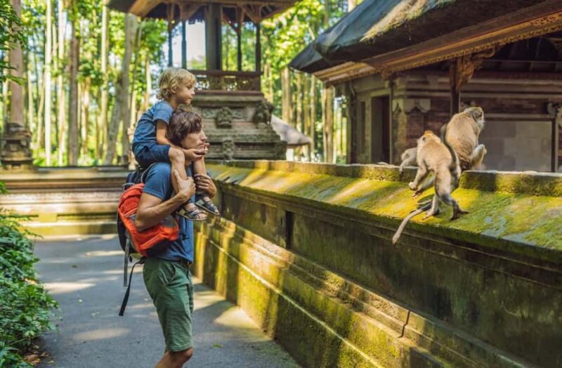 Ubud: Monkey Forest Sanctuary & Jungle Swing Tour - Transportation and Logistics