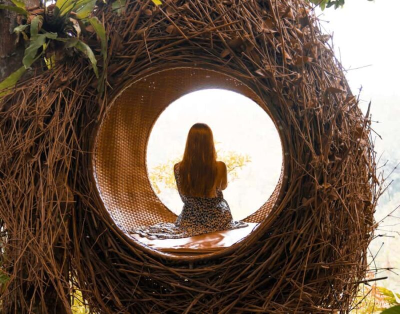 Ubud: Monkey Forest Sanctuary & Jungle Swing Tour - Who Will Love This Tour?