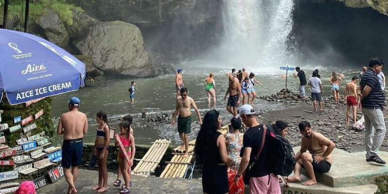 ubud-monkey-forest-temple-and-waterfall-private-tour