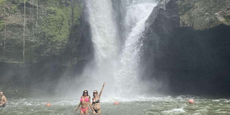 ubud-monkey-forest-temple-and-waterfall-private-tour