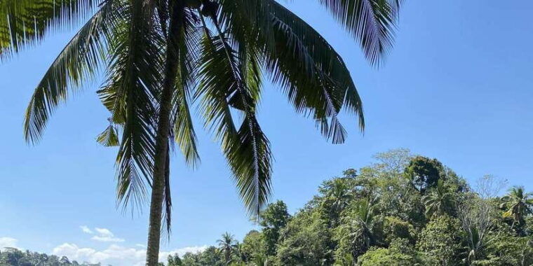 ubud-monkey-forest-temple-and-waterfall-private-tour