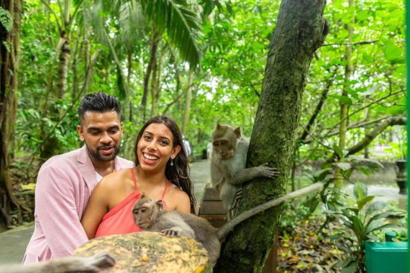 ubud-monkey-forest-temple-rice-terrace-and-waterfall-tour