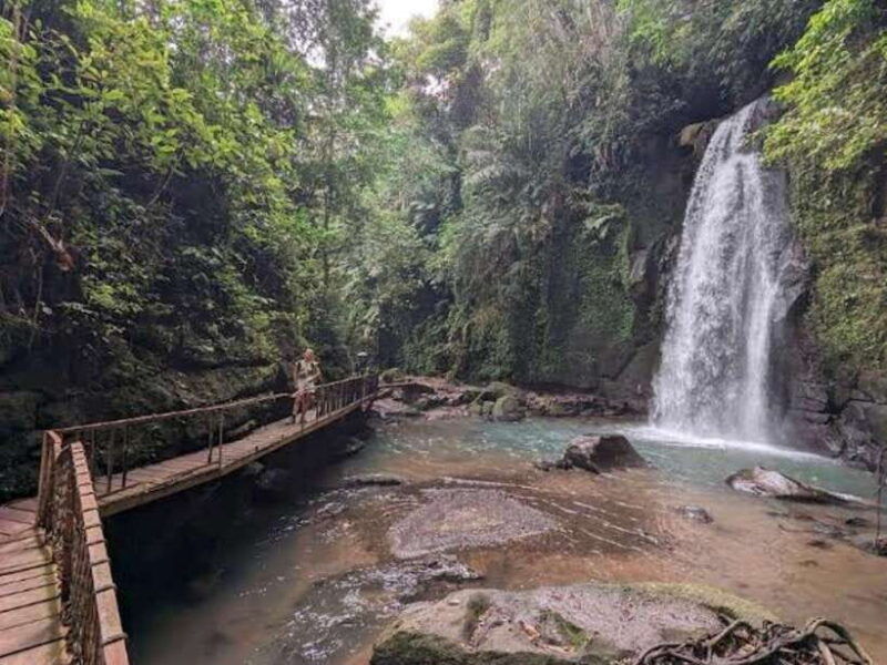 ubud-monkey-forest-temple-rice-terraces-hidden-waterfall