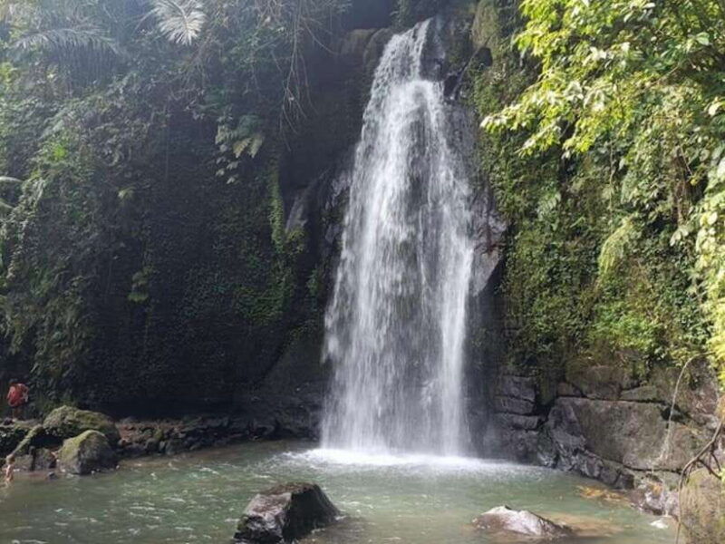 ubud-monkey-forest-temple-rice-terraces-hidden-waterfall