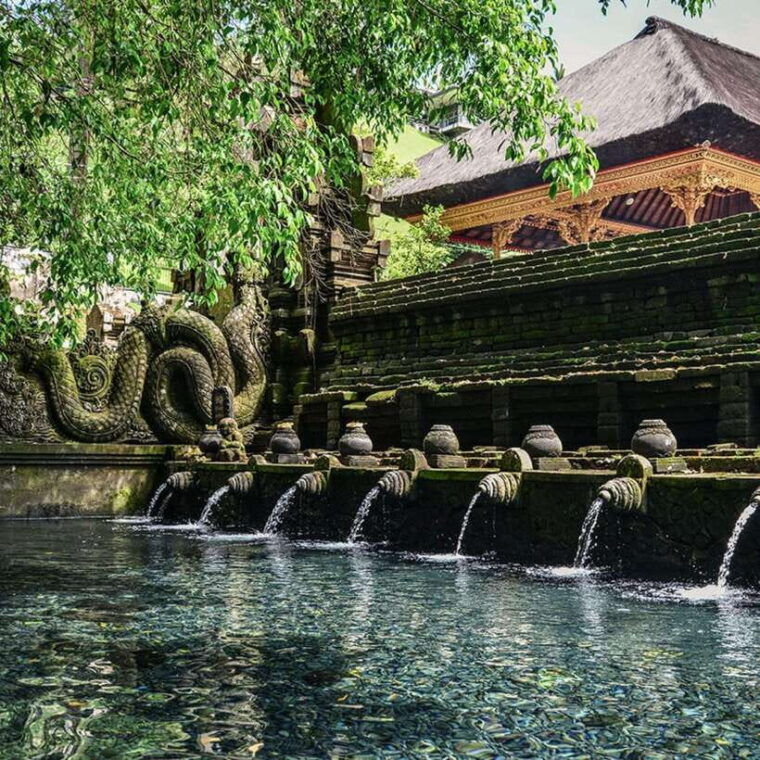 ubud-monkey-forest-temple-rice-terraces-hidden-waterfall