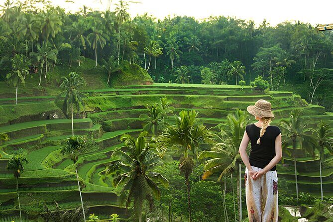 Ubud: Monkey Forest, Temple, Rice Terraces & Waterfall - Key Points