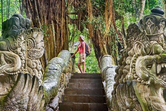 Ubud: Monkey Forest, Temple, Rice Terraces & Waterfall - What to Expect from the Ubud Highlights Tour