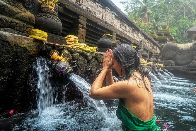 Ubud: Monkey Forest, Temple, Rice Terraces & Waterfall - The Experience of the Guide