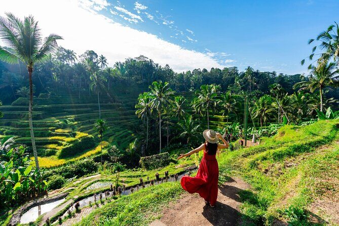 Ubud: Monkey Forest, Temple, Rice Terraces & Waterfall - Final Thoughts